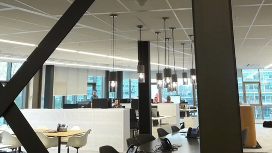 Helping the Dutch Office of the Leading Electronics Manufacturer
